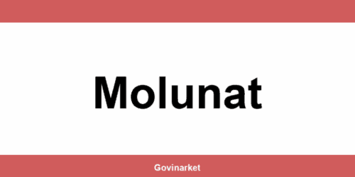 Tommy Molunat – radno vrijeme