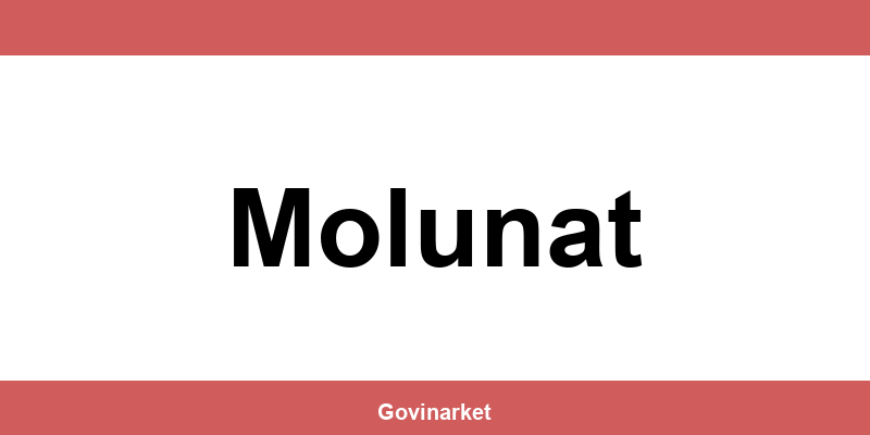 Tommy Molunat – radno vrijeme