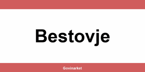 Tommy Bestovje – radno vrijeme